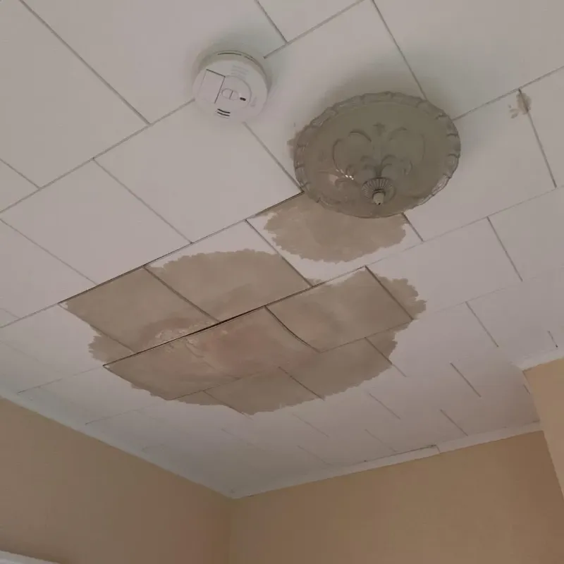 Ceiling Water Damage Repair in Cypress Quarters, FL